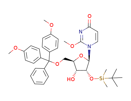 Click to see the large picture