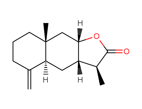 Click to see the large picture