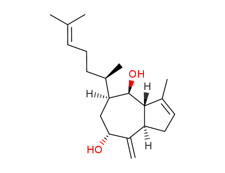 Click to see the large picture