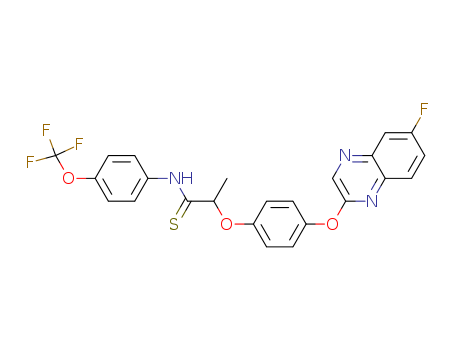 Click to see the large picture