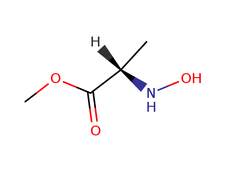 Click to see the large picture