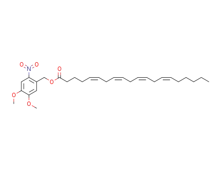 Molecular Structure of 1446428-04-1 (4,5-dimethoxy-2-nitrobenzyl arachidonate)