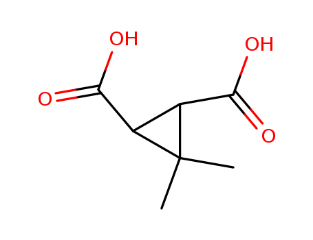 3,3 DIMETHYL CIS 1,2 CYCLOPROPANE DICARBOXYLIC ACID