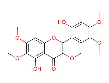 Click to see the large picture