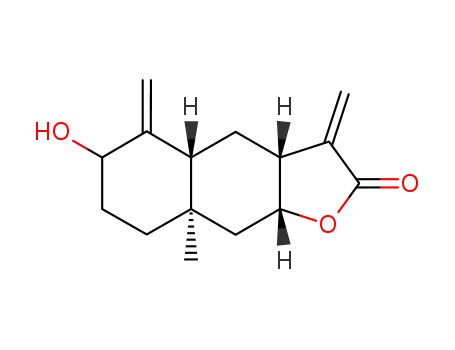 Click to see the large picture