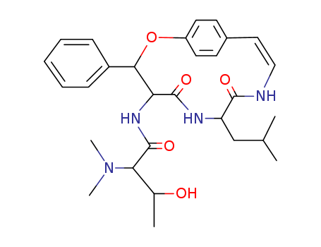 Click to see the large picture