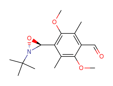 Click to see the large picture