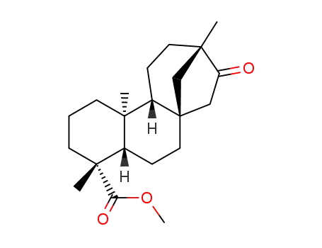 Molecular Structure of 30217-41-5 (isosteviol methyl ester)