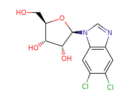 1H-Benzimidazole,5,6-dichloro-1-b-D-ribofuranosyl-                                                                                                                                                      (53-85-0)