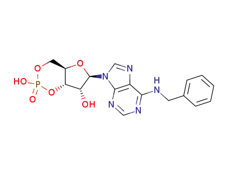 Molecular Structure of 32115-08-5 (6-BN-CAMP SODIUM SALT)