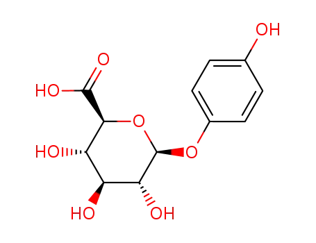 Molecular Structure of 35119-91-6 (quinol glucuronide)