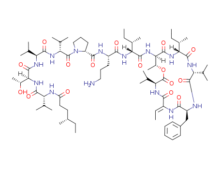 Click to see the large picture