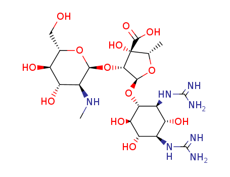 Click to see the large picture