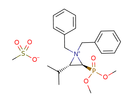 Click to see the large picture