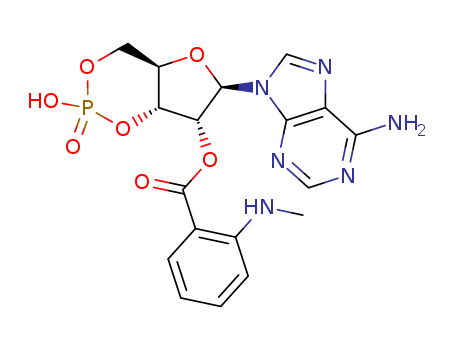 2'-O-(N-?ETHYLANTHRANILOYL)ADENOSINE-3',5'-CYCLICMONOPHOSPHATE(MANT-CAMP)