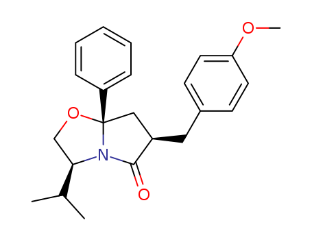 Click to see the large picture