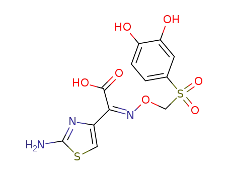 Molecular Structure of 121170-86-3 (2-amino-4-thiazoleglyoxylic acid (Z)-O-[[(3,4-dihydroxyphenyl)sulphonyl]methyl] oxime)