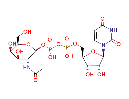 Molecular Structure of 1146981-86-3 (uridine 5'-diphospho-2-acetamido-2-deoxy-α-D-glacopyranoside)