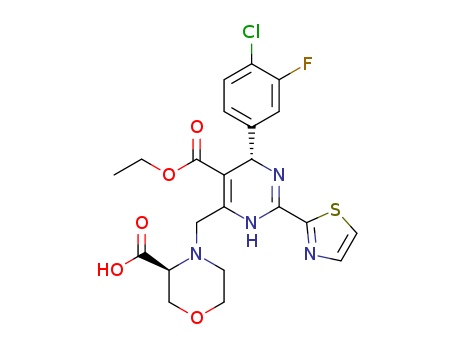 Click to see the large picture