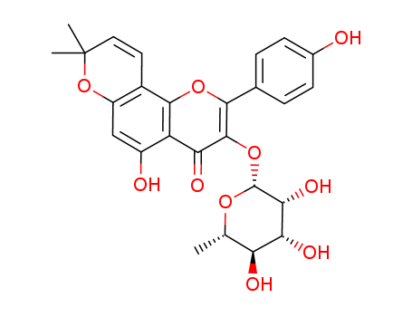 Click to see the large picture