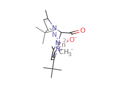 Molecular Structure of 502627-50-1 ([bis(5-tert-butyl-3-methylpyrazol-2-yl)acetato](methyl)zinc(II))