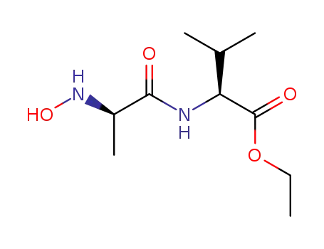 Molecular Structure of 588702-20-9 (L-Valine, N-hydroxy-D-alanyl-, ethyl ester)