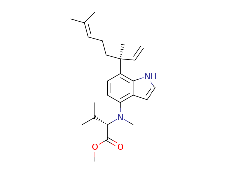 Click to see the large picture