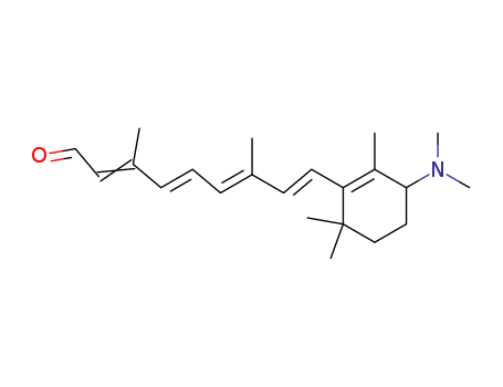 Click to see the large picture