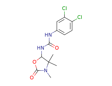 Click to see the large picture