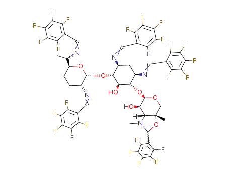 1<i>D</i>-<i>O</i><sup>4</sup>-[(6Ξ)-2,6-bis-(2,3,4,5,6-pentafluoro-benzylideneamino)-α-<i>D</i>-<i>erythro</i>-2,3,4,6,7-pentadeoxy-heptopyranosyl]-<i>O</i><sup>6</sup>-[4-methyl-3-methylamino-<i>N</i>,<i>O</i><sup>4</sup>-((Ξ)-2,3,4,5,6-pentafluoro-benzylidene)-β-<i>L</i>-3-deoxy-arabinopyranosyl]-<i>N</i>,<i>N</i>'-bis-(2,3,4,5,6-pentafluoro-benzylidene)-2-deoxy-streptamine
