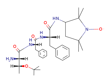 Click to see the large picture