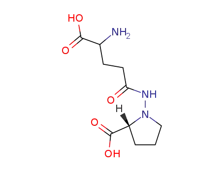 Molecular Structure of 10139-06-7 (GAMMA-GLUTAMYL-1-AMINO-D-PROLINE)