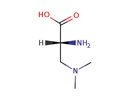 Molecular Structure of 206559-98-0 (3-(N,N-Dimethylamino)-D-alanine)