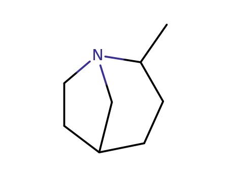 Molecular Structure of 101252-97-5 (1-Azabicyclo[3.2.1]octane,2-methyl-(6CI))