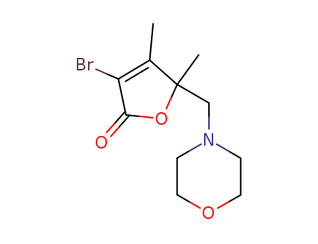 Click to see the large picture