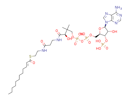 S-[2-[3-[[4-[[[(2R,3S,4R,5R)-5-(6-aminopurin-9-yl)-4-hydroxy-3-phosphonooxyoxolan-2-yl]methoxy-hydroxyphosphoryl]oxy-hydroxyphosphoryl]oxy-2-hydroxy-3,3-dimethylbutanoyl]amino]propanoylamino]ethyl] (E