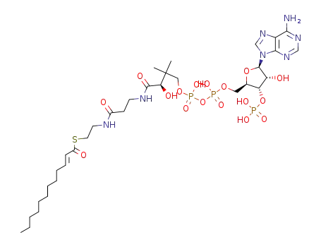 Molecular Structure of 1066-12-2 (S-[2-[3-[[4-[[[(2R,3S,4R,5R)-5-(6-aminopurin-9-yl)-4-hydroxy-3-phosphonooxyoxolan-2-yl]methoxy-hydroxyphosphoryl]oxy-hydroxyphosphoryl]oxy-2-hydroxy-3,3-dimethylbutanoyl]amino]propanoylamino]ethyl] (E)-dodec-2-enethioate)