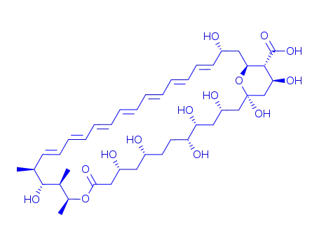 Molecular Structure of 106799-07-9 (Amphoteronolide B)