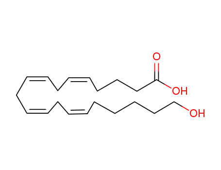 20-Hydroxyeicosatetraenoic acid