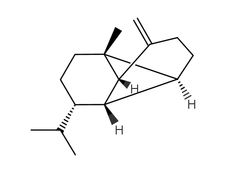 (1R,2S,6S,7S,8S)-1-methyl-3-methylidene-8-(propan-2-yl)tricyclo[4.4.0.0~2,7~]decane