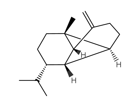 Molecular Structure of 18252-44-3 ((1R,2S,6S,7S,8S)-1-methyl-3-methylidene-8-(propan-2-yl)tricyclo[4.4.0.0~2,7~]decane)