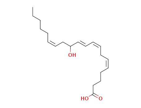 12-Hydroxyeicosatetraenoic acid