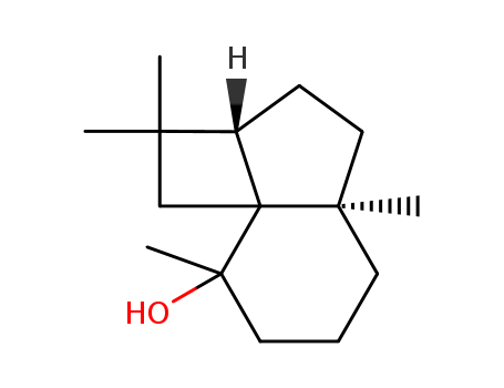 Click to see the large picture