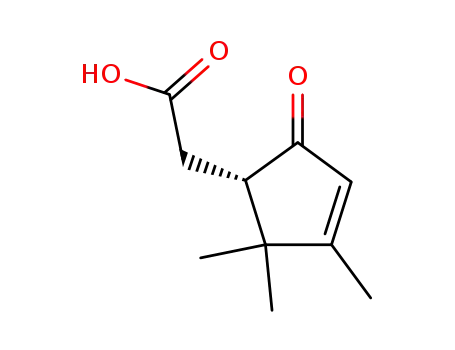 Molecular Structure of 1130-49-0 (2-oxo-delta(3)-4,5,5-trimethylcyclopentenylacetic acid)