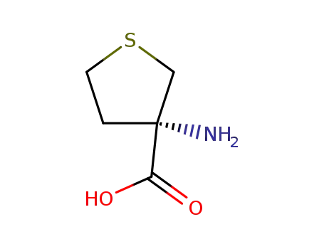 Molecular Structure of 114715-53-6 ((S)-3-AMINOTETRAHYDROFURAN-3-CARBOXYLIC ACID)