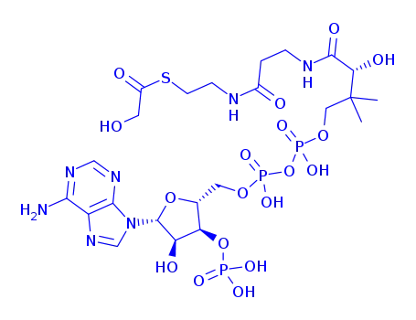 Glycoyl-coenzyme A