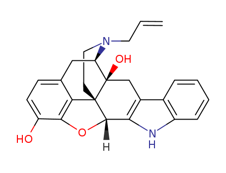 Click to see the large picture