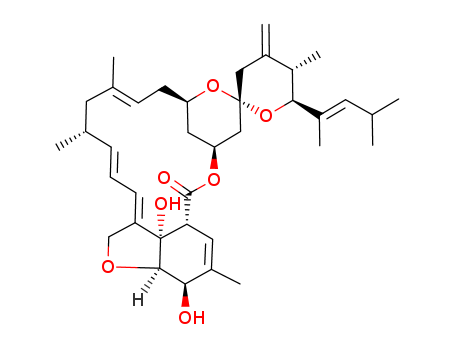 Click to see the large picture