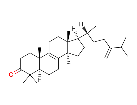 Molecular Structure of 118492-82-3 (24-Methylenelanosta-8-ene-3β-one)