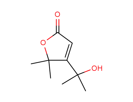Molecular Structure of 1197-79-1 (2(5H)-Furanone, 4-(1-hydroxy-1-methylethyl)-5,5-dimethyl-)